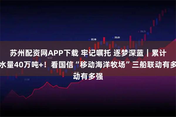 苏州配资网APP下载 牢记嘱托 逐梦深蓝|累计排水量40万吨+!看国信“移动海洋牧场”三船联动有多强