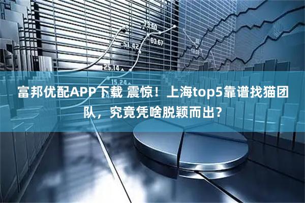 富邦优配APP下载 震惊!上海top5靠谱找猫团队,究竟凭啥脱颖而出?