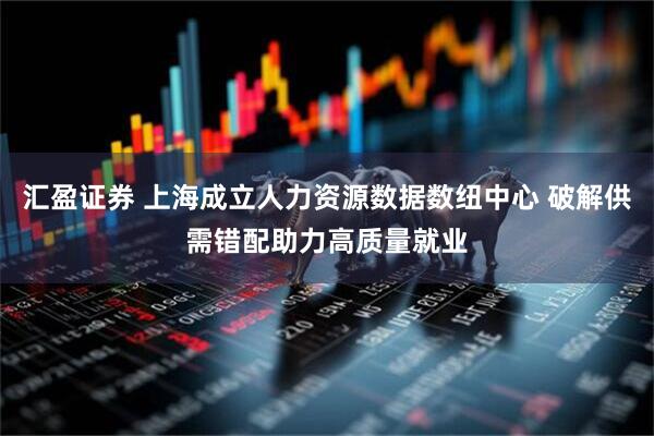汇盈证券 上海成立人力资源数据数纽中心 破解供需错配助力高质量就业