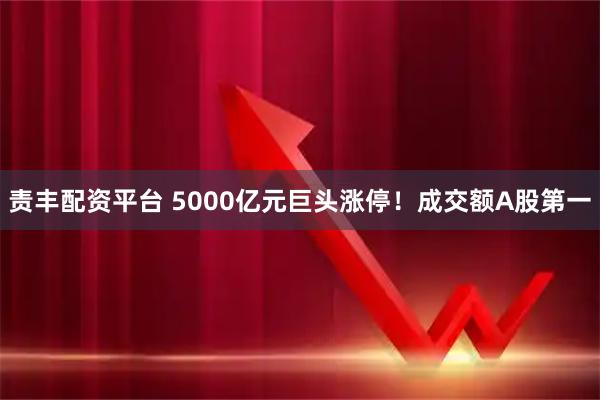 责丰配资平台 5000亿元巨头涨停！成交额A股第一